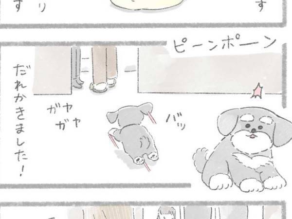 正月に帰省すると…？　犬が喜ぶ姿に「泣ける」