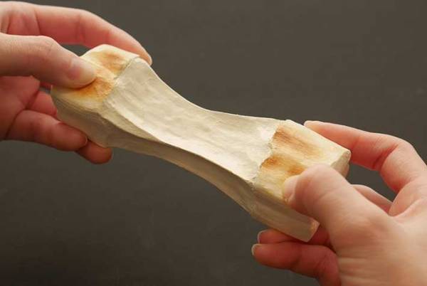 どこからどう見ても『お餅』　正体に「脳がバグりそう」