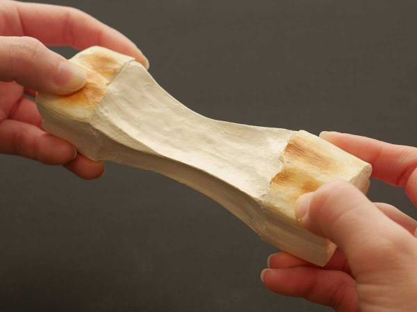 どこからどう見ても『お餅』　正体に「脳がバグりそう」