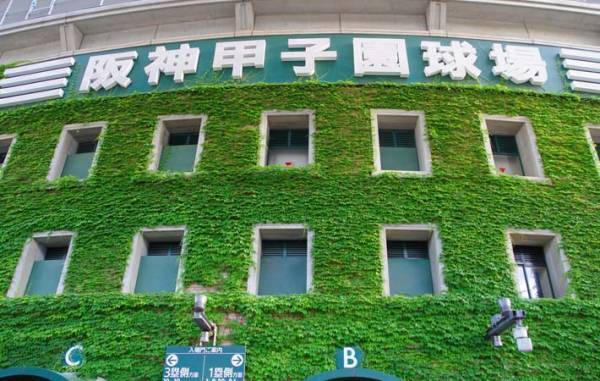 今年は『虎年』　当たり年の阪神タイガースの活躍に期待