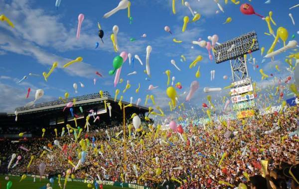 今年は『虎年』　当たり年の阪神タイガースの活躍に期待