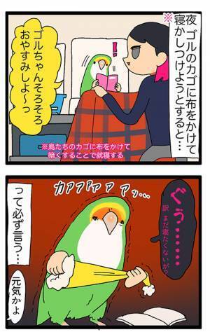 「インコ、すごい」「我が家もです」　インコにおやすみの挨拶をすると？