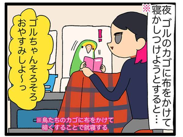 「インコ、すごい」「我が家もです」　インコにおやすみの挨拶をすると？