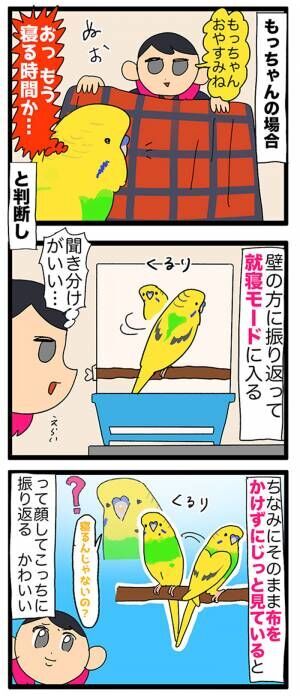 「インコ、すごい」「我が家もです」　インコにおやすみの挨拶をすると？