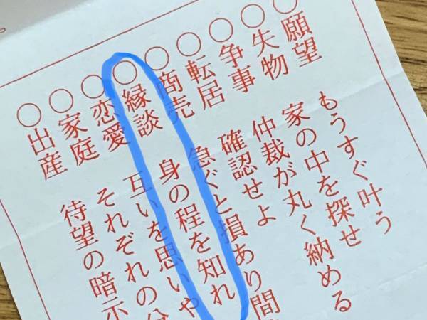 「言いたいことは分かるけど…」　おみくじの内容に呆然