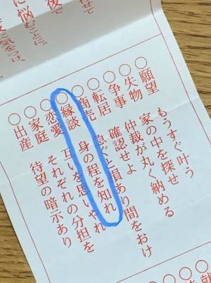 「言いたいことは分かるけど…」　おみくじの内容に呆然