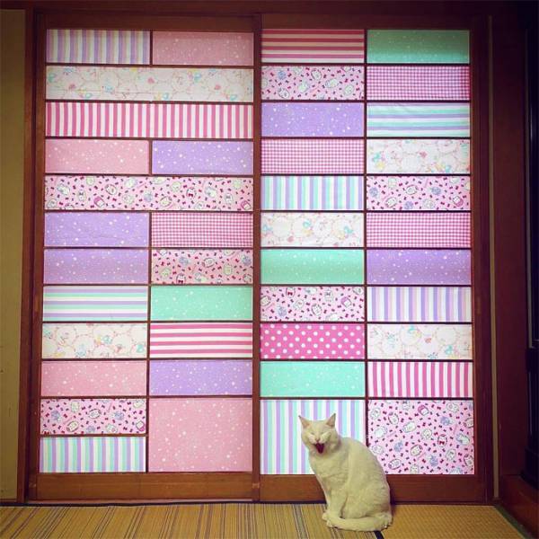 猫が破いてボロボロになった障子　和紙の代わりに貼ったもので「猫が暇になった」