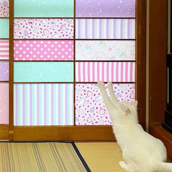猫が破いてボロボロになった障子　和紙の代わりに貼ったもので「猫が暇になった」