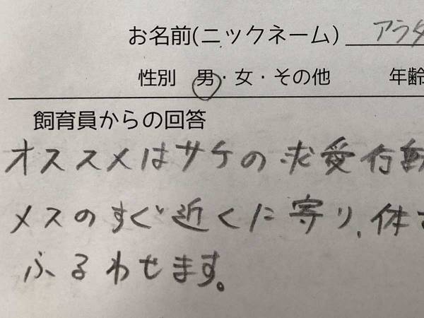 館長「たぶん通報されます」　男子高校生が、恋愛について相談すると…？