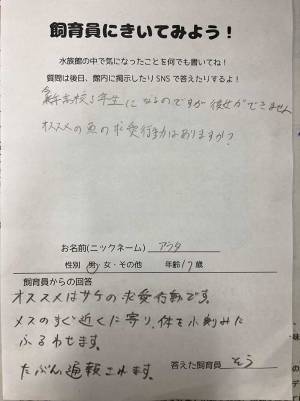 館長「たぶん通報されます」　男子高校生が、恋愛について相談すると…？