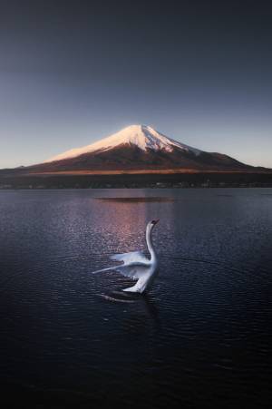 「一体いくつの奇跡が…」　美しい富士山をとらえた写真　一緒に写るのは？