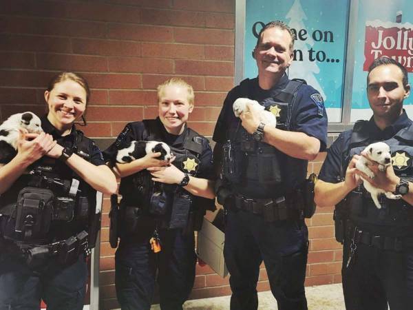 コンビニに捨てられた５匹の子犬　写真に喜びの声が上がったワケは？