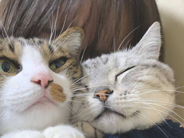 母親と娘が抱っこすると？　猫の『正直すぎる反応の違い』がコチラ！