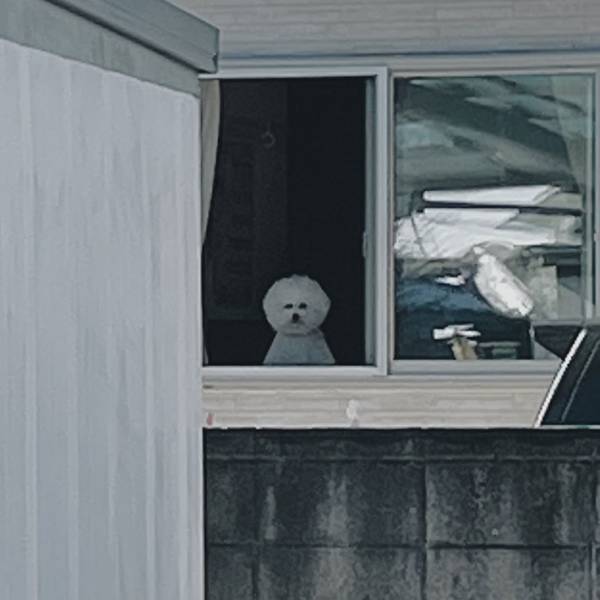 思わず声を上げてしまいそう！　自宅を振り返り、目にしたのは…