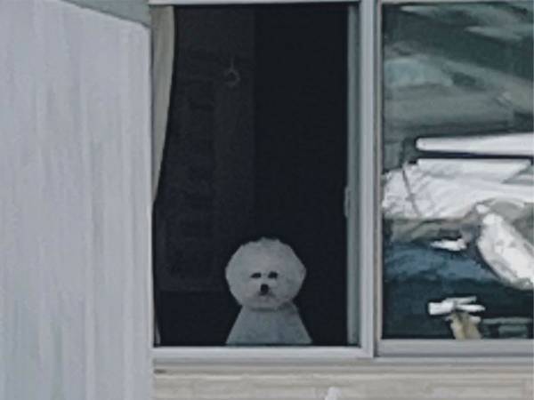 思わず声を上げてしまいそう！　自宅を振り返り、目にしたのは…