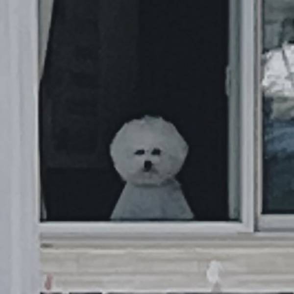 思わず声を上げてしまいそう！　自宅を振り返り、目にしたのは…