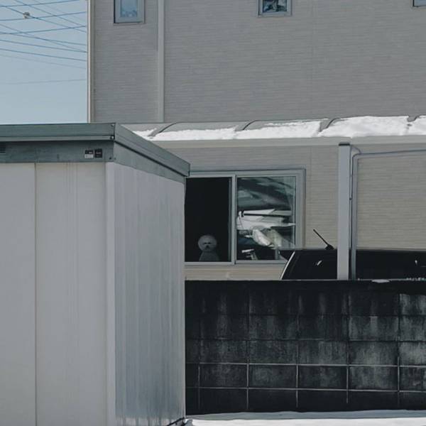 思わず声を上げてしまいそう！　自宅を振り返り、目にしたのは…