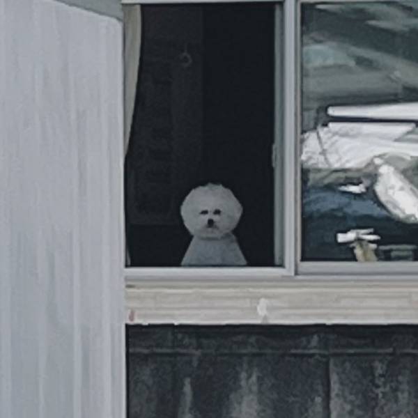 思わず声を上げてしまいそう！　自宅を振り返り、目にしたのは…