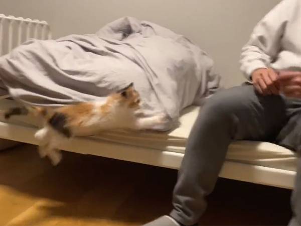 飼い主にべったりな子猫　ベッドに座った数秒後…？