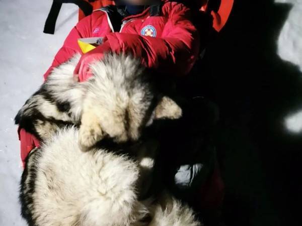 雪山でケガをした男性に一晩中寄り添っていたのは…　「よくやったね」