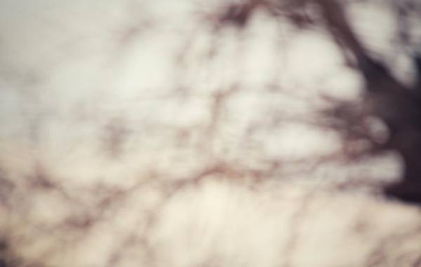 私たちの深い意識から発せられる夢　腑に落ちるメッセージが見えてくる