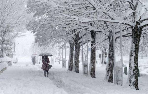 お正月に今年の初雪　『白魔』になる雪は、ご遠慮願いたいもの