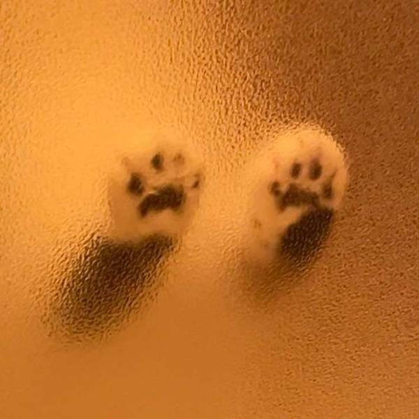 風呂場から、ふとドアを見ると…？　映った光景に１５万『いいね』！