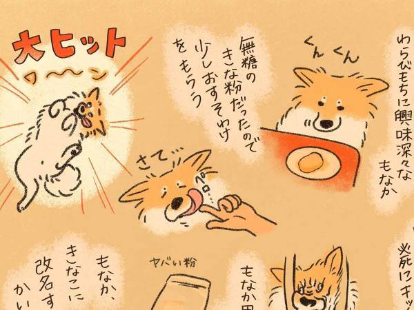 ある食材を口にし、感動した犬　『大ヒット』な表情に笑ってしまう