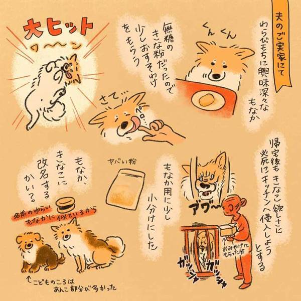 ある食材を口にし、感動した犬　『大ヒット』な表情に笑ってしまう