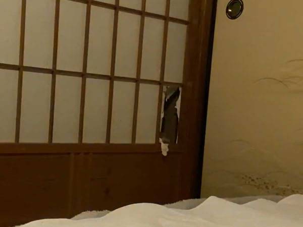 夜、不審な物音がして…？　飼い主が目撃した光景に吹き出す