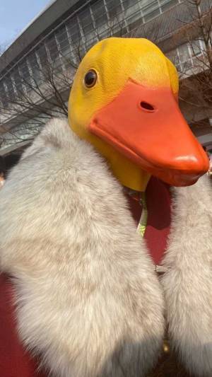 「人生で一番モテた」　成人式で大注目された女性、式典中は…？