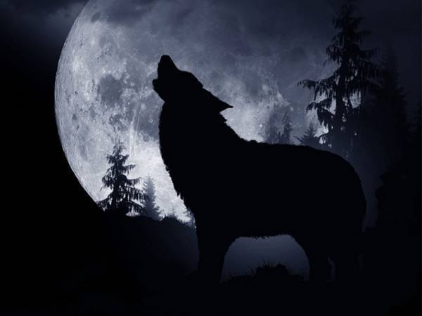 １月１８日は『ウルフムーン』　２０２２年最初の満月を見上げよう