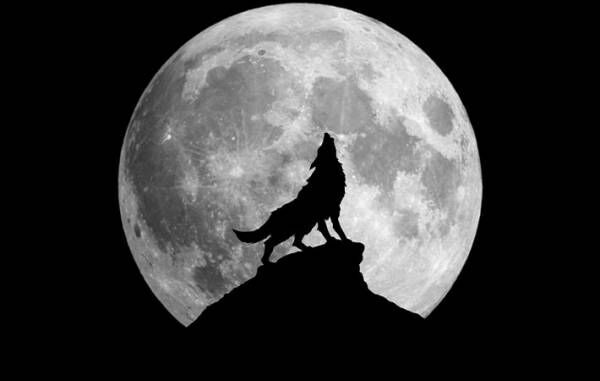 １月１８日は『ウルフムーン』　２０２２年最初の満月を見上げよう