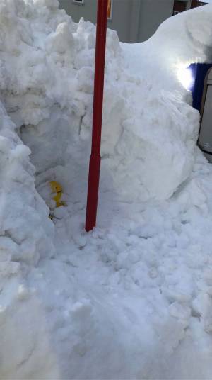 自動販売機で３週間飲み物を買えなかった理由に「ごめんなさい爆笑しました」