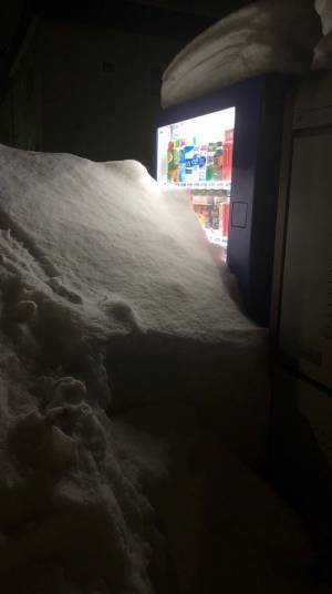 自動販売機で３週間飲み物を買えなかった理由に「ごめんなさい爆笑しました」