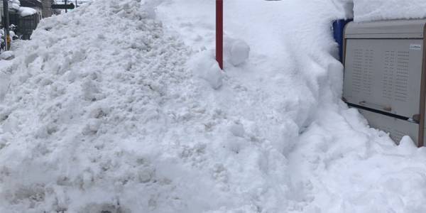 自動販売機で３週間飲み物を買えなかった理由に「ごめんなさい爆笑しました」