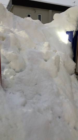 自動販売機で３週間飲み物を買えなかった理由に「ごめんなさい爆笑しました」