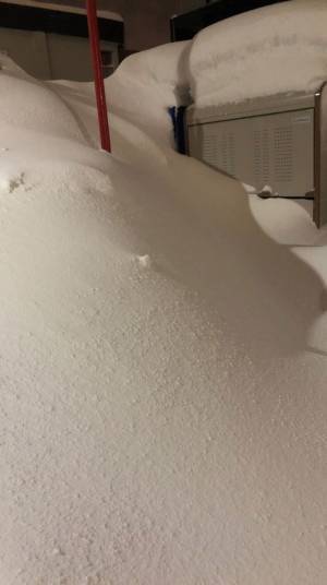 自動販売機で３週間飲み物を買えなかった理由に「ごめんなさい爆笑しました」