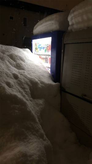 自動販売機で３週間飲み物を買えなかった理由に「ごめんなさい爆笑しました」