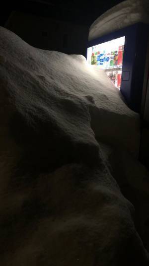 自動販売機で３週間飲み物を買えなかった理由に「ごめんなさい爆笑しました」