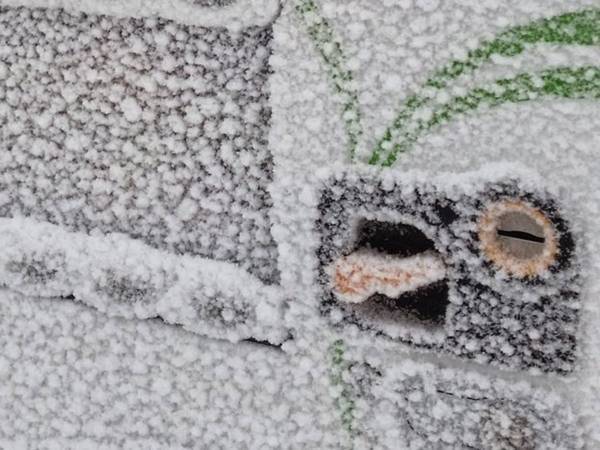 屋外の自動販売機に二度見　これが極寒の地の本気…！