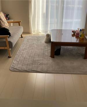 雪だるまのような猫の後ろ姿　かわいすぎて、大変だ！