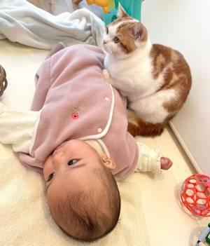 兄の自覚が芽生え中？　赤ちゃんを前に、猫がとった行動が愛おしい