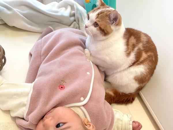 兄の自覚が芽生え中？　赤ちゃんを前に、猫がとった行動が愛おしい