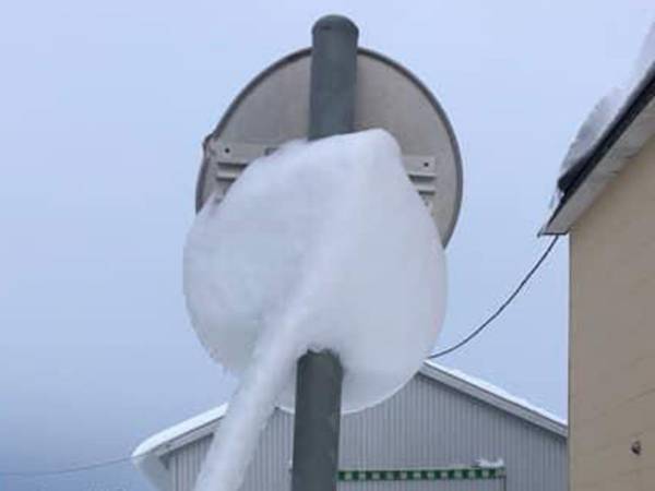 十勝で記録的な大雪　翌日、目撃されたものに「非常にレア」