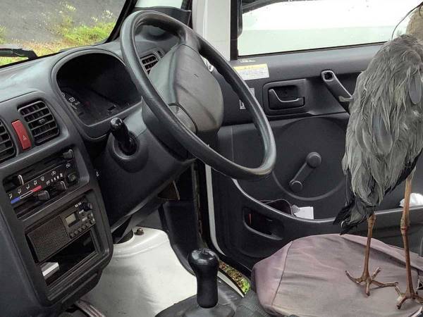 「もう帰ってくれませんか」　いつの間にか車に乗り込んでいたのは…？