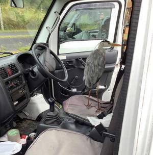 「もう帰ってくれませんか」　いつの間にか車に乗り込んでいたのは…？