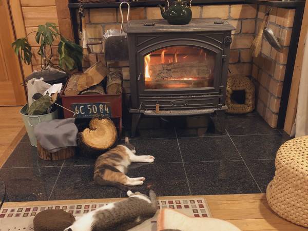 「和んだ」「私もここに住みたい」　１枚の写真に反響