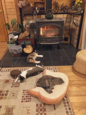 「和んだ」「私もここに住みたい」　１枚の写真に反響