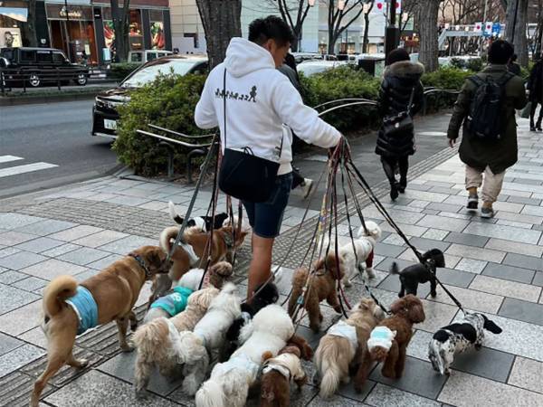 思わずクギ付け！リードを手にした男性の姿に、人々が足を止める理由は…